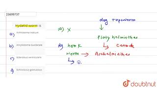 Hydatid worm is  12  PLATYHELMINTHESTHE FLAT WORMS  BIOLOGY  DINESH PUBLICATION  Doubtnut [upl. by Ayalat]