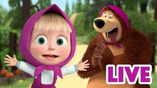 ماشا والدب 👱‍♀️ LIVE STREAM 🎻🦊 لو كانت الحيوانات بشرا 🎻🦊 Masha and the Bear [upl. by Macfadyn987]