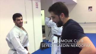 Seyed Alaedin Nekoofar  Karate UNSU training [upl. by Agni542]