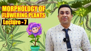 L5 Flower Aestivation amp Placentation  Morphology in Flowering Plants 11th Class Biology ft Vipin [upl. by Karylin]