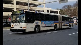 BeeLine Bus Neoplan AN460 537 Route 27 Bus From White Plains to Skyline Drive [upl. by Nawaj175]