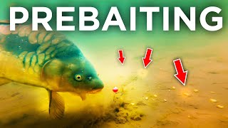 Carp Fishings Biggest Edge How To Prebait Effectively [upl. by Matelda]