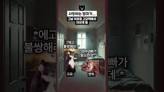 사랑하는 딸에게 하늘에서 엄마가 쓴 댓글 고양이밈 [upl. by Knah662]