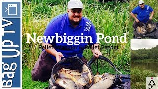 Pellet Waggler amp Pellet Feeder Fishing at NewBiggin Pond  BagupTV [upl. by Annovy635]