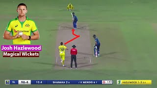 Josh Hazlewood Top 10 Wickets Collection In Cricket 🔥 [upl. by Worden]