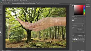 Photoshop Comment rendre un calque transparent [upl. by Arno]