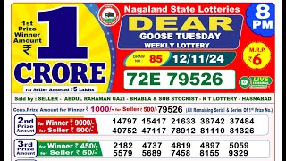 Lottery Result Today 8pm 12112024  Official  Sikkim Lottery [upl. by Anneirb]