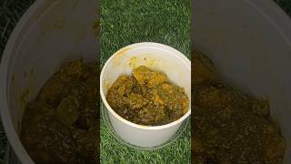 The Perfect Palak Chicken Recipe And Why You Shouldnt Make ItLife2Dine greenchicken howto [upl. by Javler]