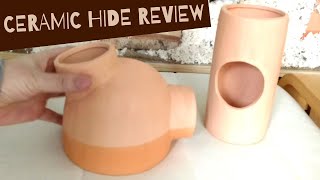 Reviewing Rodipet Easy Clean Gobi Hamster Range [upl. by Alexia]