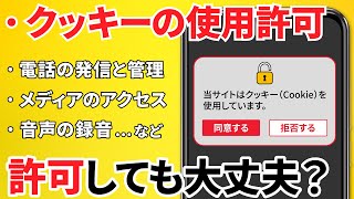 【許可 or 許可しない】どこまで「許可」する？その理由と対処方法～Cookieの使用・トラッキング拒否・メディア等 [upl. by Alyn668]