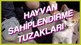 HAYVAN SAHİPLENDİRME TUZAKLARI  İlkyaz ve Can [upl. by Atterg]