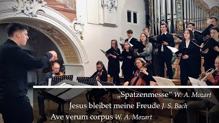 Spatzenmesse W A Mozart  Christoph Mairiedl  Primiz Moritz Waldhauser [upl. by Baryram]