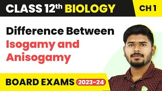 Difference Between Isogamy and Anisogamy  Class 12 Biology Chapter 1 NCERTNEET 202223 [upl. by Lothario]