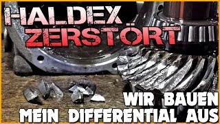 HALDEX Getriebe ZERSTÖRT Wir zerlegen mein Differential  Beth Rennsporttechnik [upl. by Neerroc141]