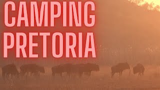 Affordable Campsites in PRETORIA SOUTH AFRICA [upl. by Nehgaem]