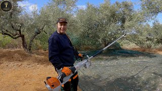 STIHL SP 452 amp SPA 140 σε ελληνικό ελαιώνα [upl. by Burkhard]