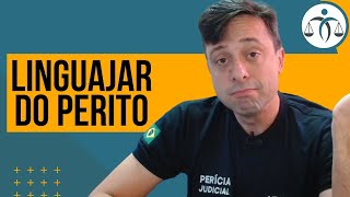 Como deve ser o LINGUAJAR do PERITO [upl. by Tol438]