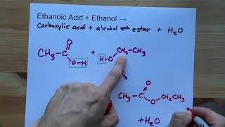 Ethanoic Acid  Ethanol   Ester Reaction [upl. by Stegman]