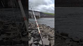 Paddlefish Snagging In Nashville Tennessee freshwaterfish fishspecies [upl. by Audri]