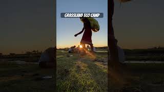 GRASSLAND ECO CAMP  UDALGURI  grassland udalguri ecocamp viralvideo nature sunset travel [upl. by Genesa599]