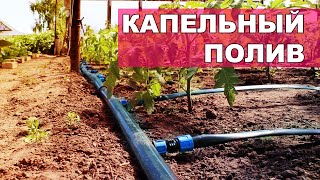 КАК СОБРАТЬ КАПЕЛЬНЫЙ ПОЛИВ НА ЛЮБОМ УЧАСТКЕ  Подбор фитингов и шлангов подключениечастые вопросы [upl. by Joanna]