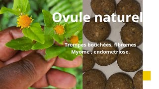 OVULE VAGINALE traditionnel pour trompes bouchées fibromes etc [upl. by Salman]