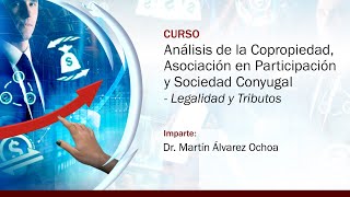 Análisis de la Copropiedad Asociación en Participación y Sociedad Conyugal Legalidad y Tributos [upl. by Sillaw]