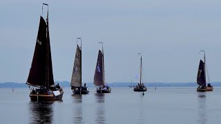 Zuiderzee Botter Regatta Harderwijk 2024 [upl. by Deering]