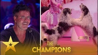 Alexa Lauenburger 11 YO Dog Trainer Leaves Simon Cowell WOWED Britains Got Talent Champions [upl. by Jacobah]