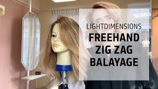 Freehand Zig Zag Balayage Technique  LightDimensions  Goldwell Education Plus [upl. by Willabella]