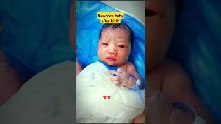 Newborn baby after birth 💚 cutebaby newborn afterbirth babiesvideo youtubeshorts ytshorts [upl. by Marih308]