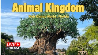 🔴 Live  Animal Kingdom Morningl Live Stream  Walt Disney World 2292024 [upl. by Elimac]