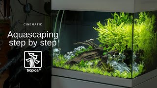 Planted Aquarium Aquascape Tutorial Step By Step  Cinematic [upl. by Nevs48]