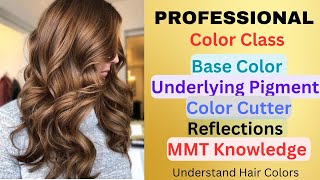 Professional Color Class  Underlying pigment  Color Cutter  Color Reflections Etc Salonfact [upl. by Duff]