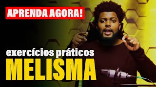 Melisma Sem Segredo  Aprenda A Fazer Melisma [upl. by Fem]