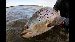 Top 10 Trout Lakes in Texas Ultimate An 2024 06 02 [upl. by Livi]