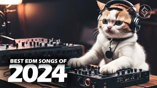 EDM Music BEST Of 2024 🎧 [upl. by Arela236]