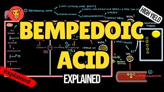 BEMPEDOIC ACID Mechanism of action Pharmacology of Lipid lowering drugs [upl. by Verras]