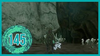 The Legend of Zelda Tears of the Kingdom 100 Walkthrough  Part 145 Wellspring of Wisdom [upl. by Ilujna]