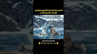 Dogs love and bravery saved lady life  நாயின் துணிச்சலான செயலால் உயிர் தப்பிய பெண்  Infogle [upl. by Watters272]