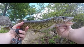 Pickerel Fishing Lake Kanawauke [upl. by Barbuto]