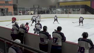 Sabres vs Pretoria Capitals White 1st Div South African Ice Hockey 21042024 [upl. by Emelina]