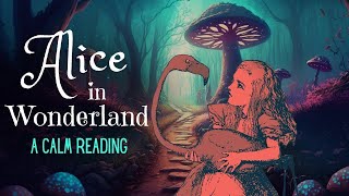 Reading of Alice in Wonderland  full audiobook  Story Reading for Sleep  Relaxing Reading [upl. by Toffey]