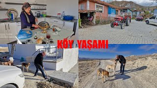 DOĞAL KÖY YAŞAMI HATİCE HANIMIN KÖYÜNE GİTTİ YENİ EVİMİZİN ÇEVRESİNİ DÜZENLİYORUZ [upl. by Ekram]