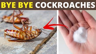 2 Home Remedies to Get Rid of Cockroaches in Your House Using Baking Soda and Onion  House Keeper [upl. by Bohlin]