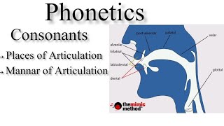 Place and Manner of Articulation in UrduHindi Articulatory Phonetics Speech Organs Speech Sounds [upl. by Elissa]