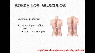 OSTEOPATIA 1FUNDAMENTOS DE OSTEOPATIAmp4 [upl. by Bunker]