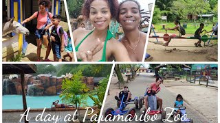 De Paramaribo Zoo🐒🐅🐆🦜🐢🐊 swimming fun with family [upl. by Turner]