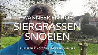 Wanneer en hoe SIERGRASSEN snoeien [upl. by Desta]