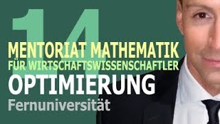 Optimierung  14 Kursvideo  Mentoriat Mathematik für Wirtschaftswissenschaftler [upl. by Hadria920]